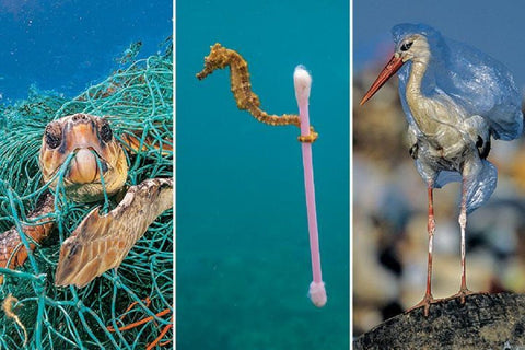 From the photo gallery of National Geographic's Planet or Plastic
