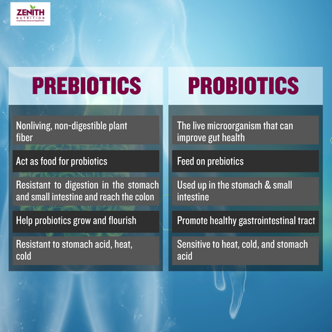 prebiotic vs probiotic