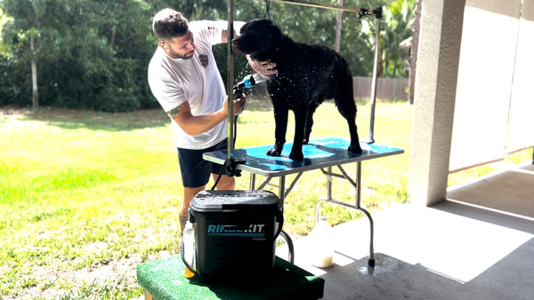 Portable Dog Wash Stations for Home