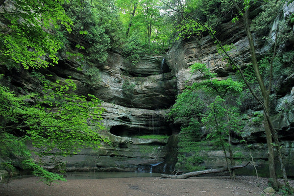 illinois state parks with and without showers