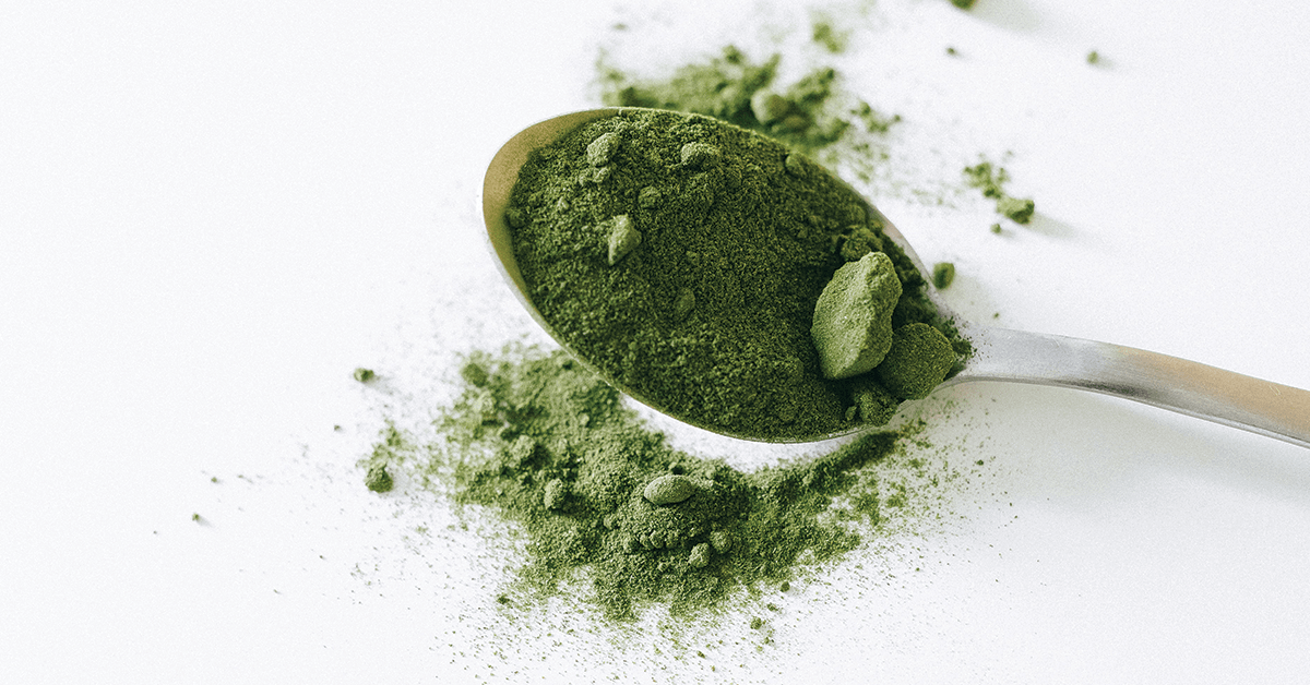 Matcha powder on spoon