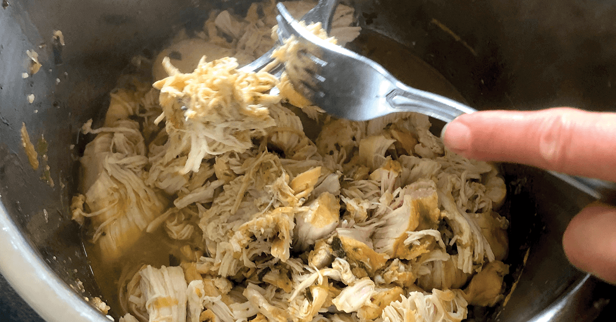 Tender pulled pork being torn apart with a fork.