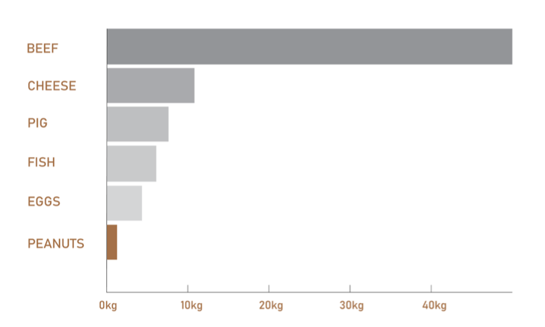 Graph comparing greenhouse gas emissions per 100 grams of protein