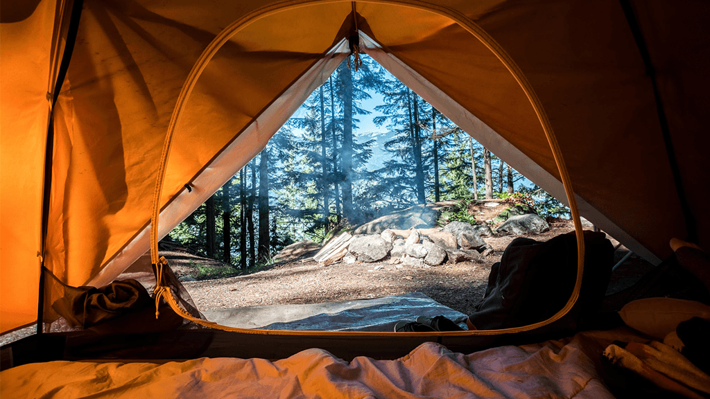 View-From-Tent-At-Campsite-Filled-With-Trees