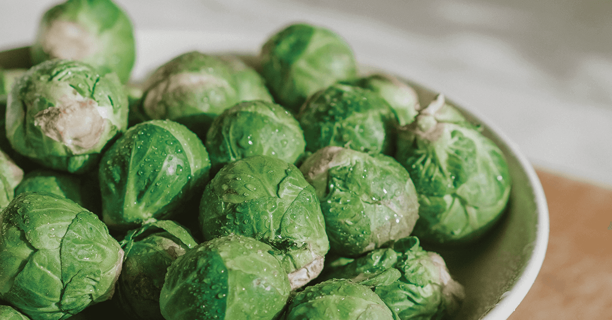 Bowl of fresh green brussel sprouts 