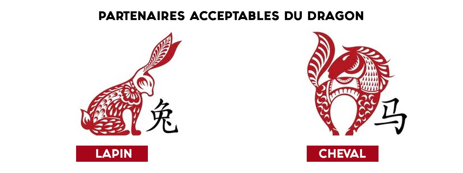 Partenaires acceptables du signe chinois dragon