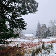 Snowy landscape with a house in the distance