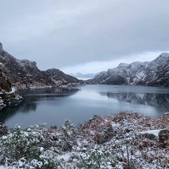 Shona Island in winter