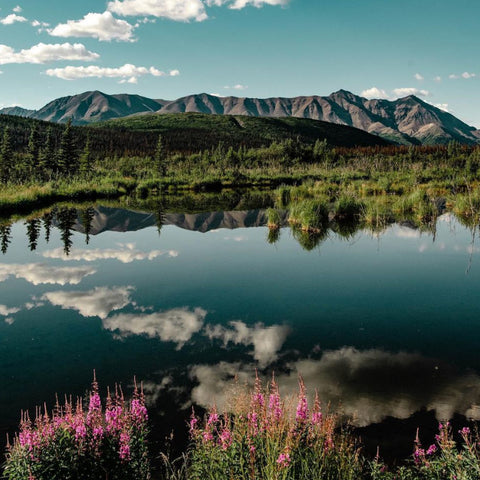 mount denali location alaska