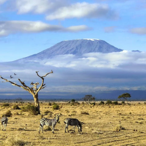 MOUNT KILIMANJARO location tanzania