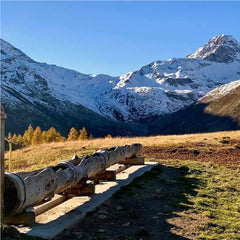 log bench for picnics with a snowy mountain view