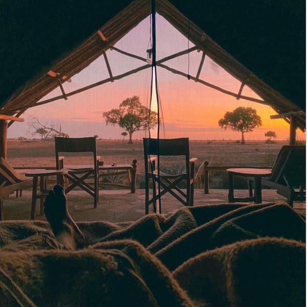 Sleep on a typical African tent in the middle of the savannah and wake up with the wildlife around you