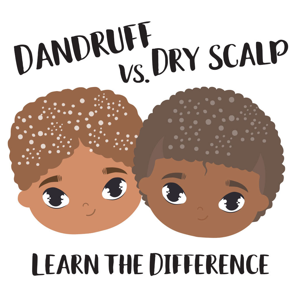 Dandruff vs. Dry Scalp Whats the Difference