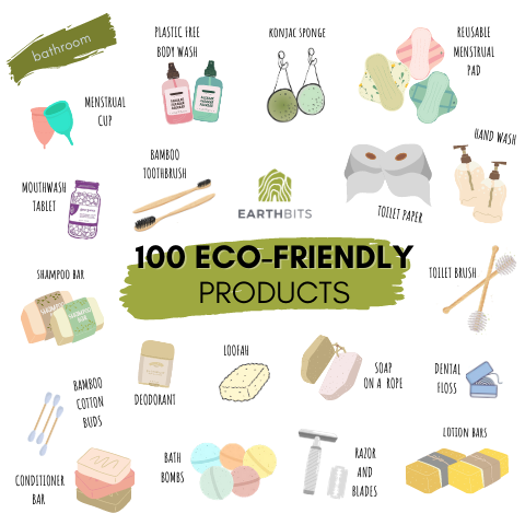 Budget-friendly eco-friendly products