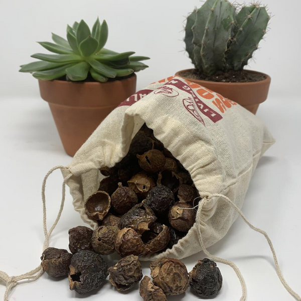 organic soapnuts