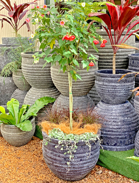 Container Gardening