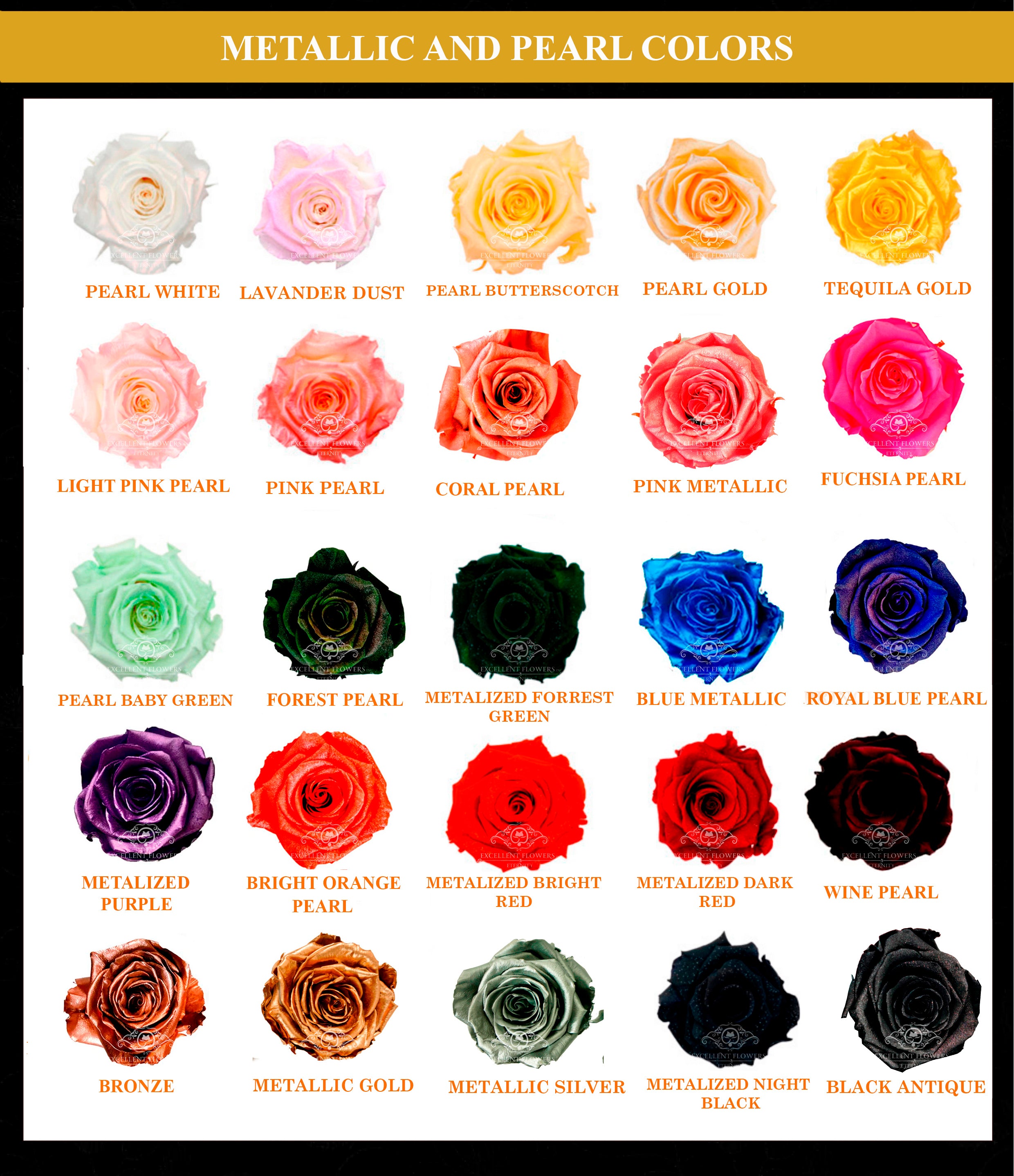 Wholesale Natural Preserved Roses | Worldwide Shipping | Everlastings