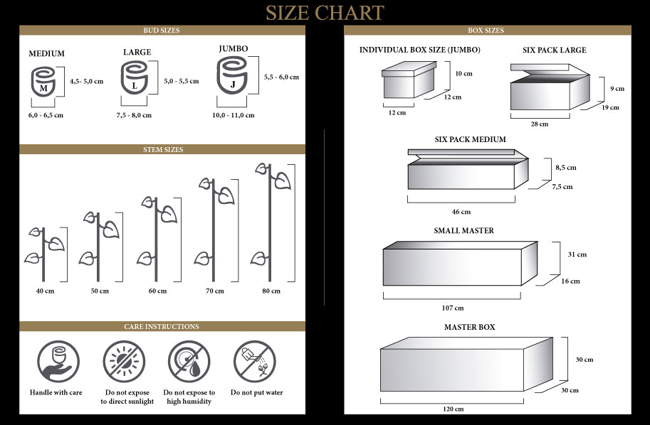 Cake Sizing Guide – Honeypeachsg Bakery