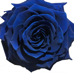 Wholesale Preserved Roses | Wholesale Eternal Rose | Excellent Flowers