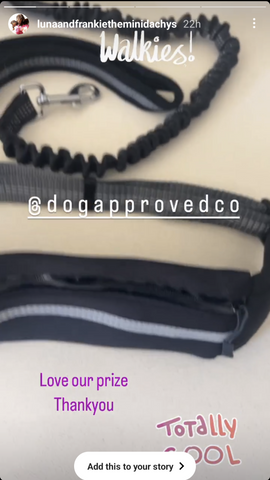 thank you instagram story showing dog jogging belt leash prize