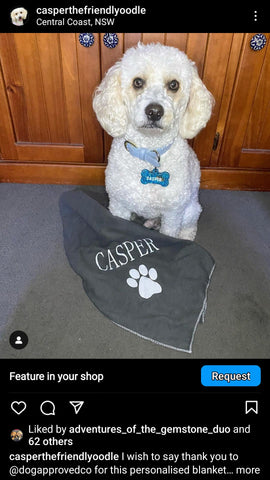 Casper the friendly oodle featured with his prize, a grey personalised blanket from dogapproved.co