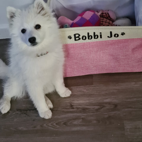 customer Bobbi Jo with her pink personalised dog toy basket  dogapproved.co