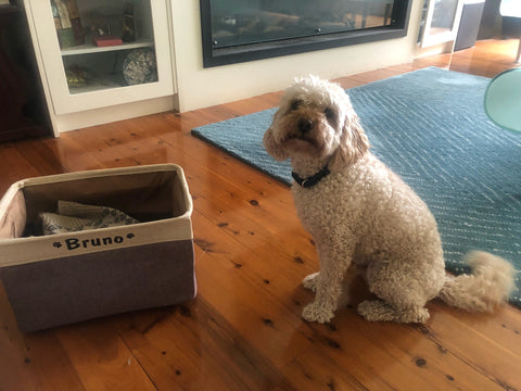 cusotmer Bruno with his coffee personalised dog toy basket  dogapproved.co