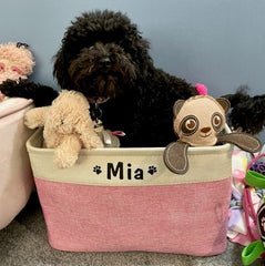 customer Mia with her new pink personalised dog toy basket  dogapproved.co