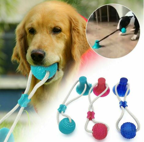 Dog Rope Ball Interactive Tug of War Toy Suction Cup Molar Teeth