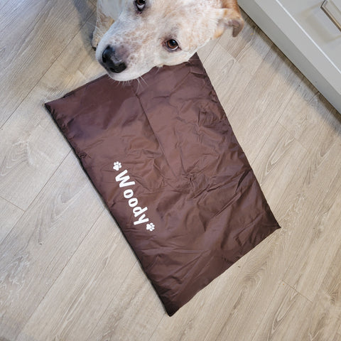 head product tester "Woody" with his personalised waterproof dog mat dogapproved.co