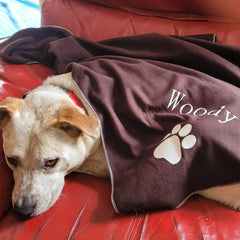 woody from dogapproved.co with coffee personalised dog blanket on red lounge