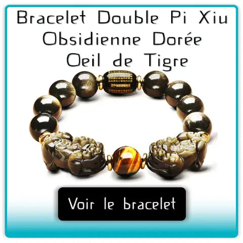 Bannière publicitaire vers Bracelet Double Pi Xiu (Pi Yao) Obsidienne Dorée Œil de Tigre Kaosix