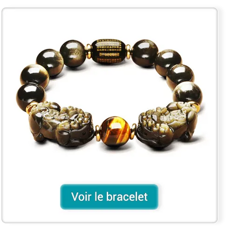 Bracelet Double Pi Xiu (Pi Yao) Obsidienne Dorée Œil de Tigre Kaosix