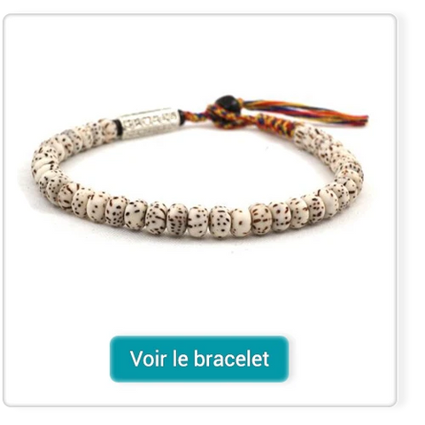 Bracelet tibétain graine de bodhi mantra sur fond blanc Kaosix