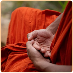 Gros plan sur les mains d'un moine bouddhiste jointes en Mudra kaosix