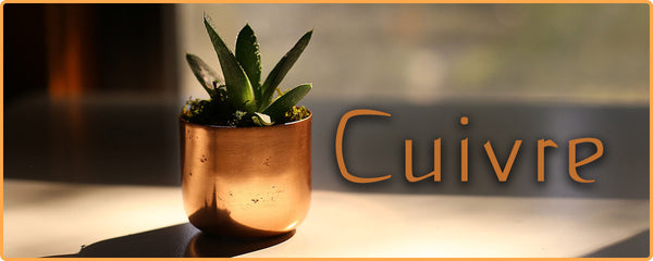 Pot de cuivre avec un cactus planté à l'intérieur sur table beige Kaosix