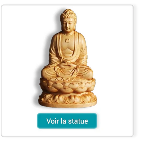 Statue_Bouddha_Assis_Shakyamuni_en_Meditation_sur_fond_blanc_kaosix