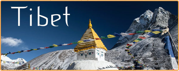 Stupa bouddhiste tibétaine avec montagne enneigée et ciel bleu en fond Kaosix