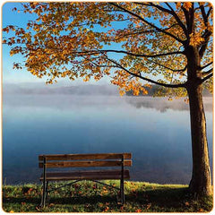 Un banc sous un arbre face à un lac Kaosix