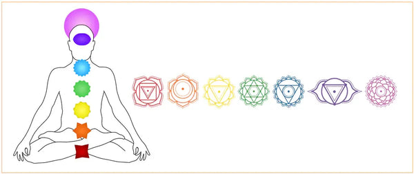 diagramme 7 chakras homme assis en position du lotus sur fond blanc