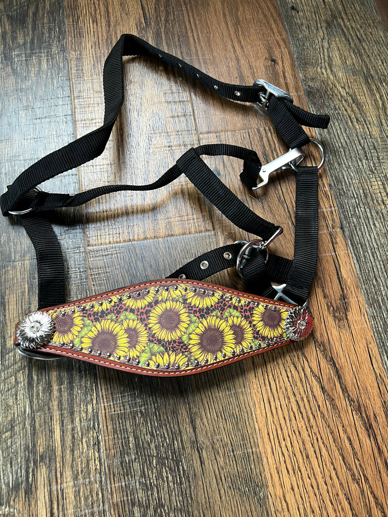 Snake Skin Bronc Nose Band Halter – KP Pet Supply