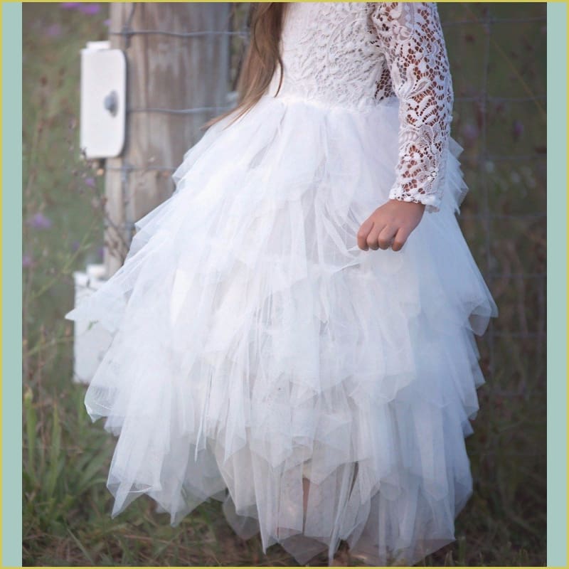 sophia lace dress