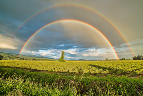 the image shows two rainbows over a green field