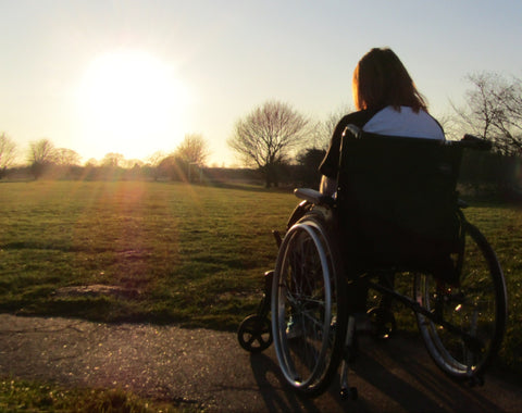 The back view of Ami in her new wheelchair. She is facing an evening sunset