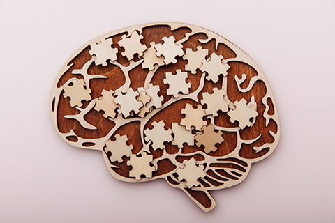 Wooden brain with puzzle pieces