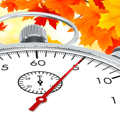 A close up of a stopwatch that shows 5 minutes. In the background are some autumnal leaves