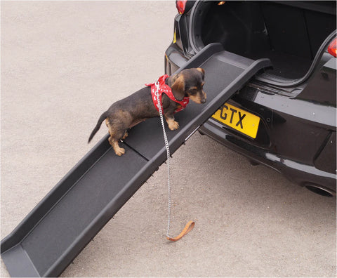 Folding Dog Ramp