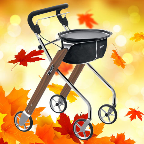The Let's Dream Rollator that's available for sale on the Ability Superstore website 