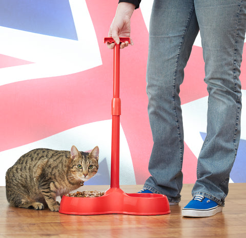 A person stands in front of the British flag with the right hand on the handle of the No Bend Pet Bowl. A cat sitting on a wooden floor is eating from one of the double bowls 
