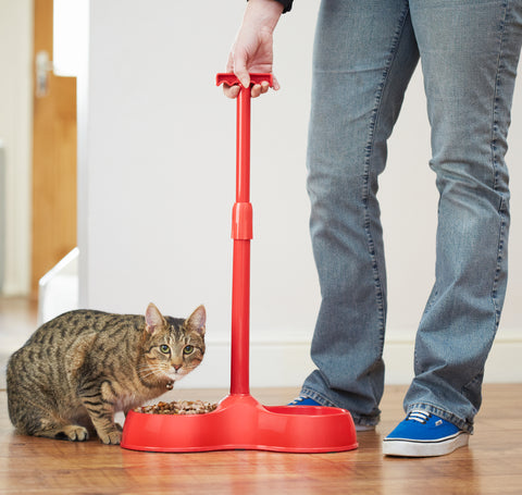 A person wearing jeans and blue trainers has his hand at the top of the handle of the No Bend Pet Bowl. A cat is just about to eat from one of the bowls